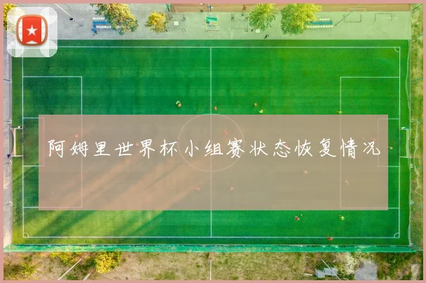 阿姆里世界杯小组赛状态恢复情况