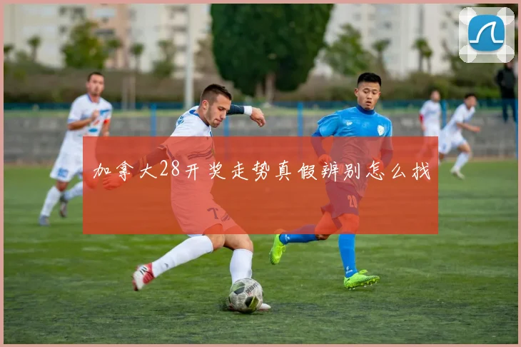 加拿大28开奖走势真假辨别怎么找
