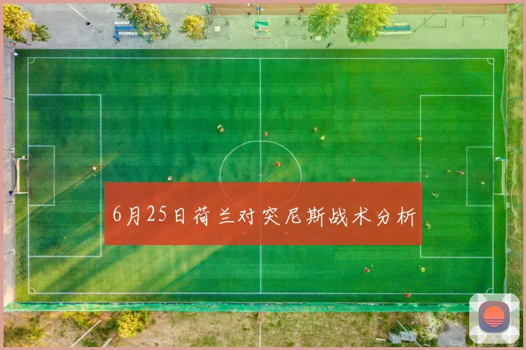 6月25日荷兰对突尼斯战术分析
