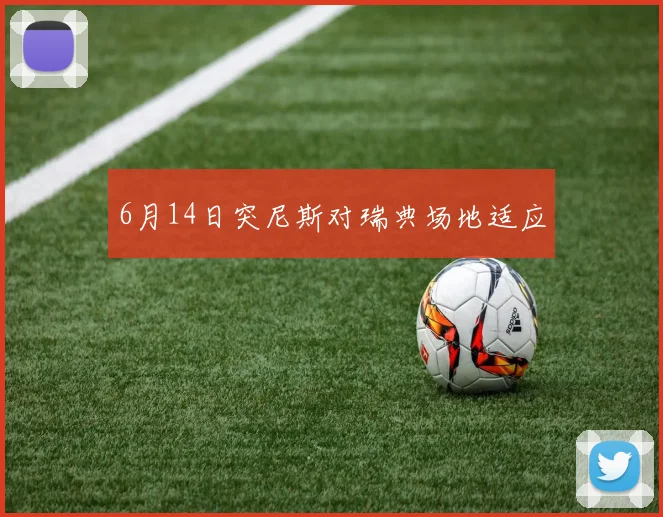 6月14日突尼斯对瑞典场地适应