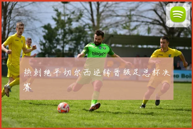 热刺绝平切尔西逆转晋级足总杯决赛