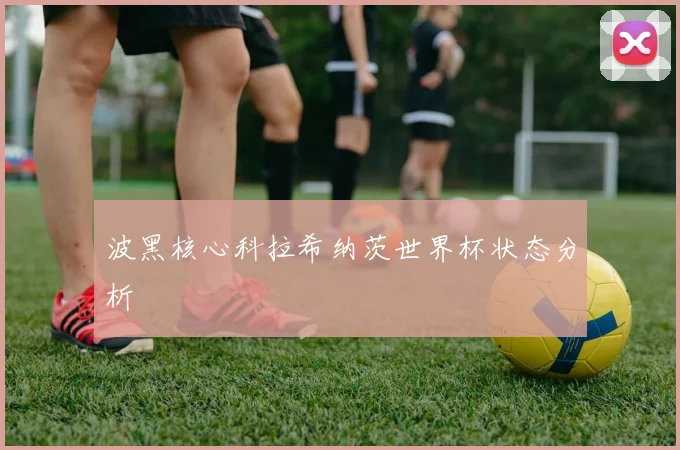 波黑核心科拉希纳茨世界杯状态分析